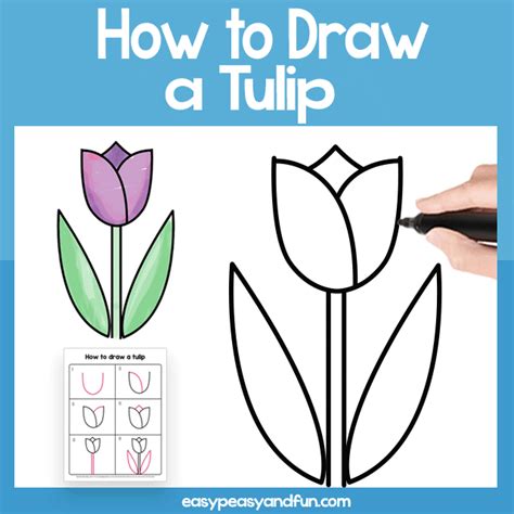 Drawing the stem and leaves of a tulip is an important step in creating a realistic looking flower. To start, begin by sketching a long, thin line that curves down from the center of the oval shape you drew earlier. This will serve as the stem of the tulip. Then, draw two curved lines that branch out from the stem, creating a V shape. 